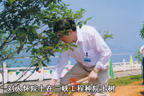 三峽工程會(huì)議期間種院士樹
