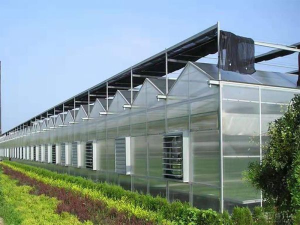 如何做好陽光溫室大棚的保養(yǎng)工作你知道嗎？