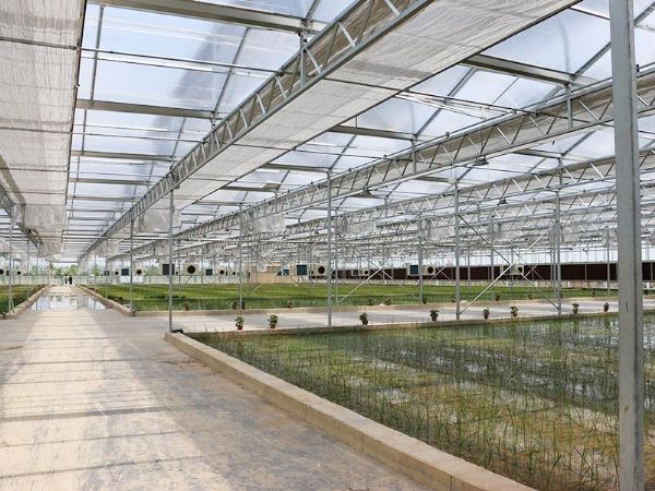 溫室工程的建設需要注意什么