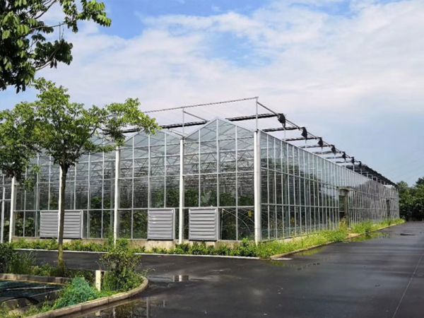 智能玻璃溫室