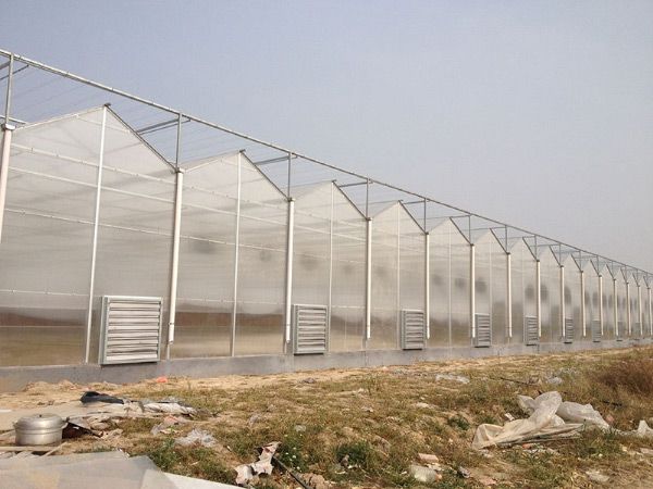 陽光板溫室大棚