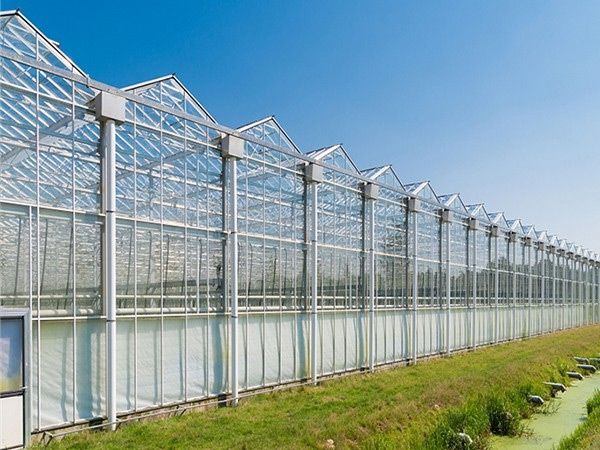 玻璃溫室大棚