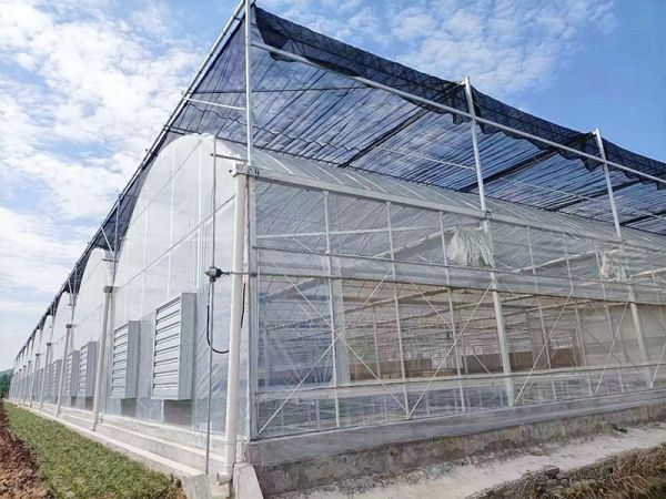 客戶案例現(xiàn)場