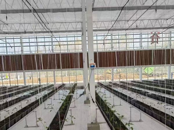 客戶案例現(xiàn)場